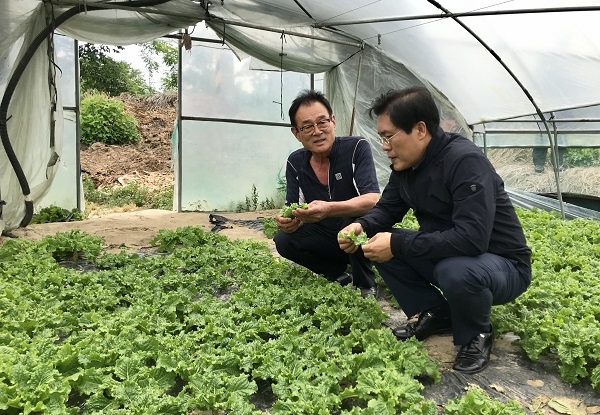 송석준 의원이 시설채소 재배 농가를 방문해 농민과 대화를 나누고 있다.